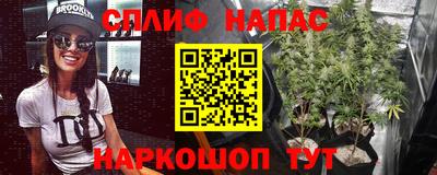 крисы Тара
