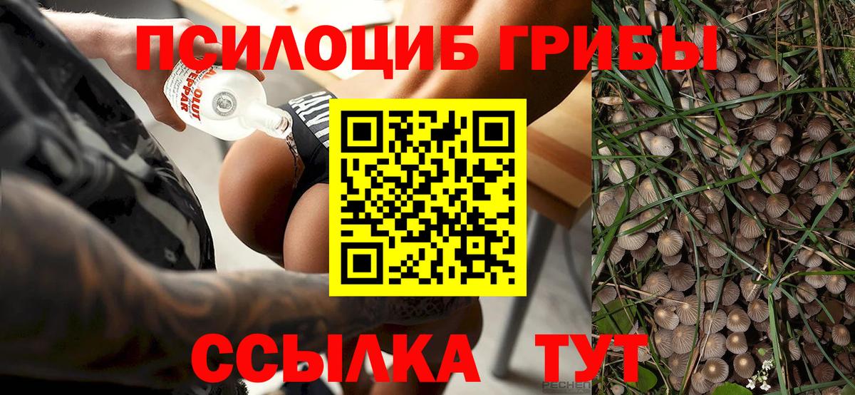 Галлюциногенные грибы ЛСД  Псилоцибиновые грибы Magic Shrooms  Вход с VPN  Нефтекумск 